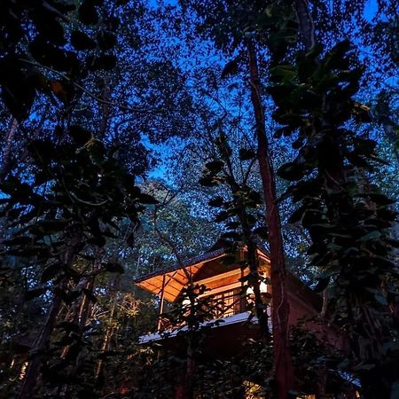 Coffee Acres Resort Калпата Екстериор снимка