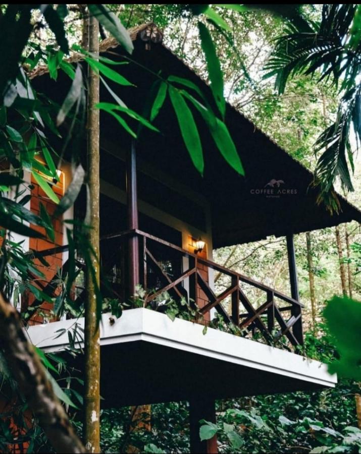 Coffee Acres Resort Калпата Екстериор снимка