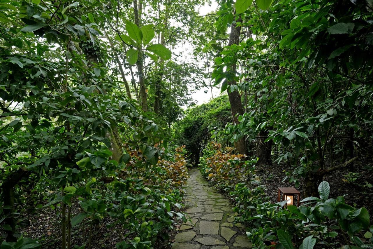 Coffee Acres Resort Калпата Екстериор снимка