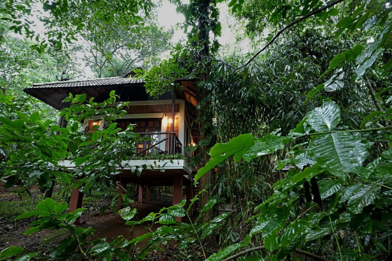 Coffee Acres Resort Калпата Екстериор снимка
