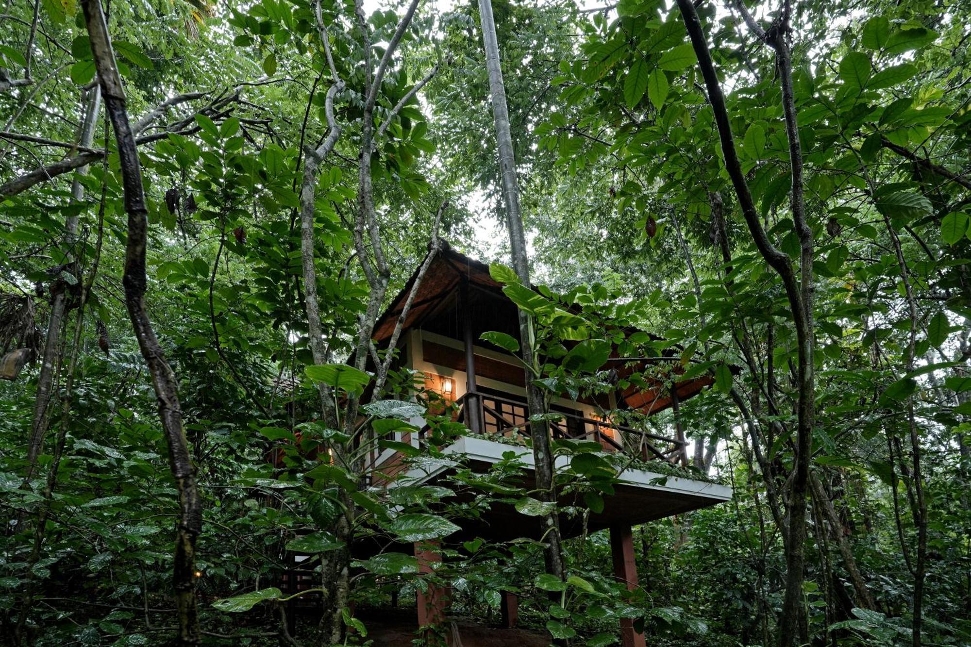 Coffee Acres Resort Калпата Екстериор снимка