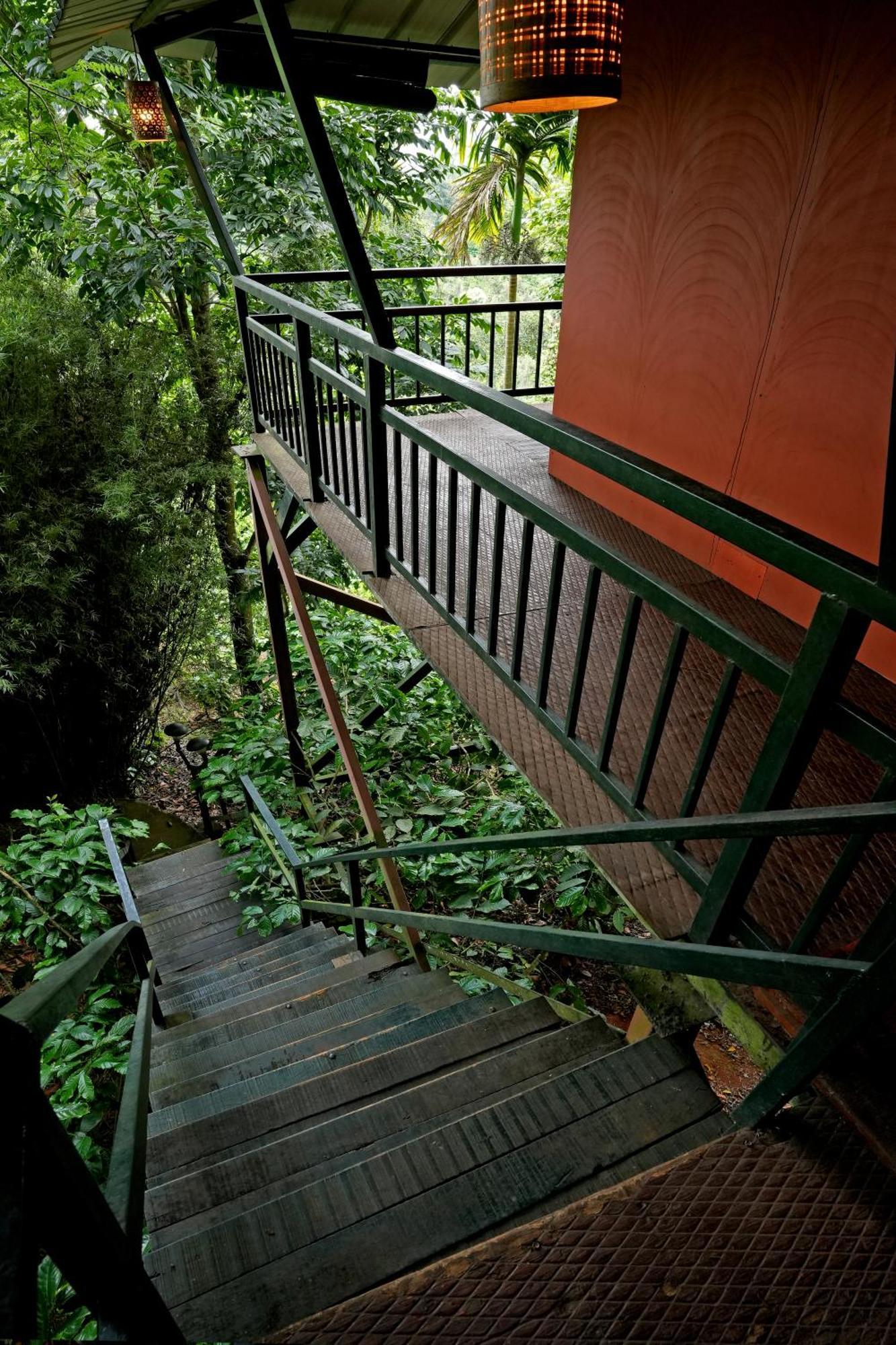 Coffee Acres Resort Калпата Екстериор снимка