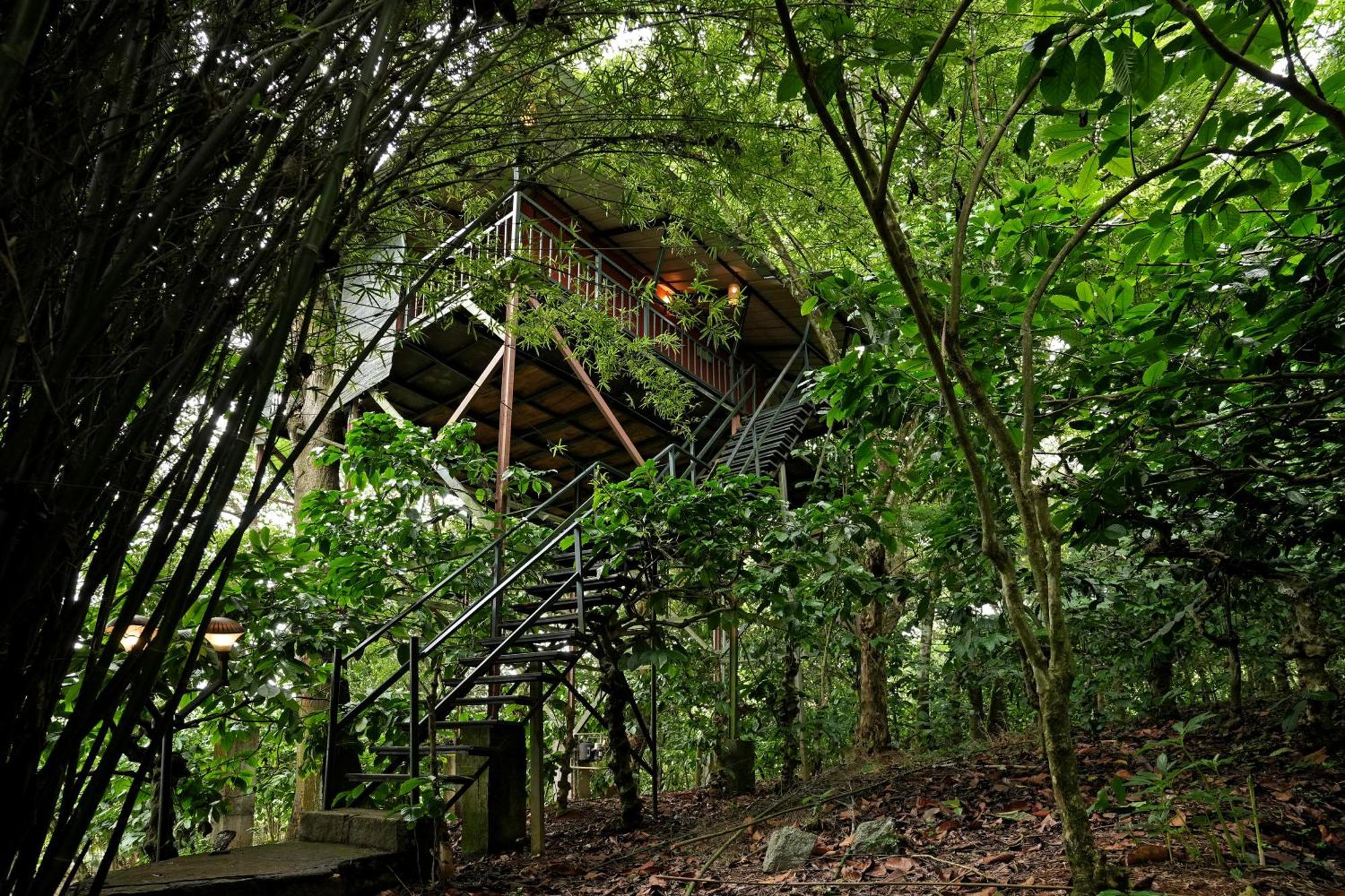 Coffee Acres Resort Калпата Екстериор снимка