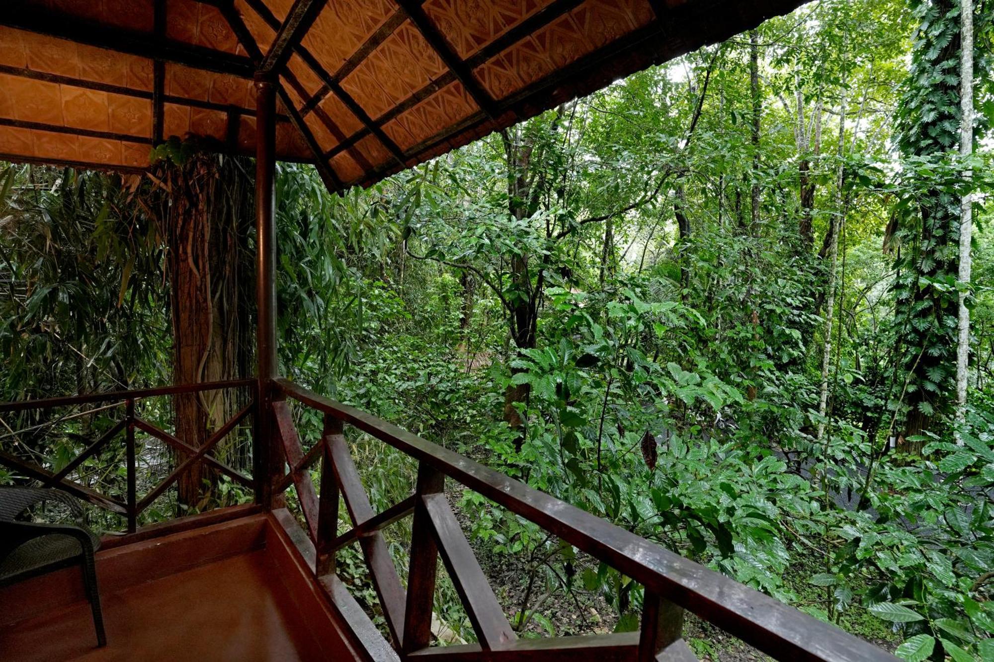 Coffee Acres Resort Калпата Екстериор снимка