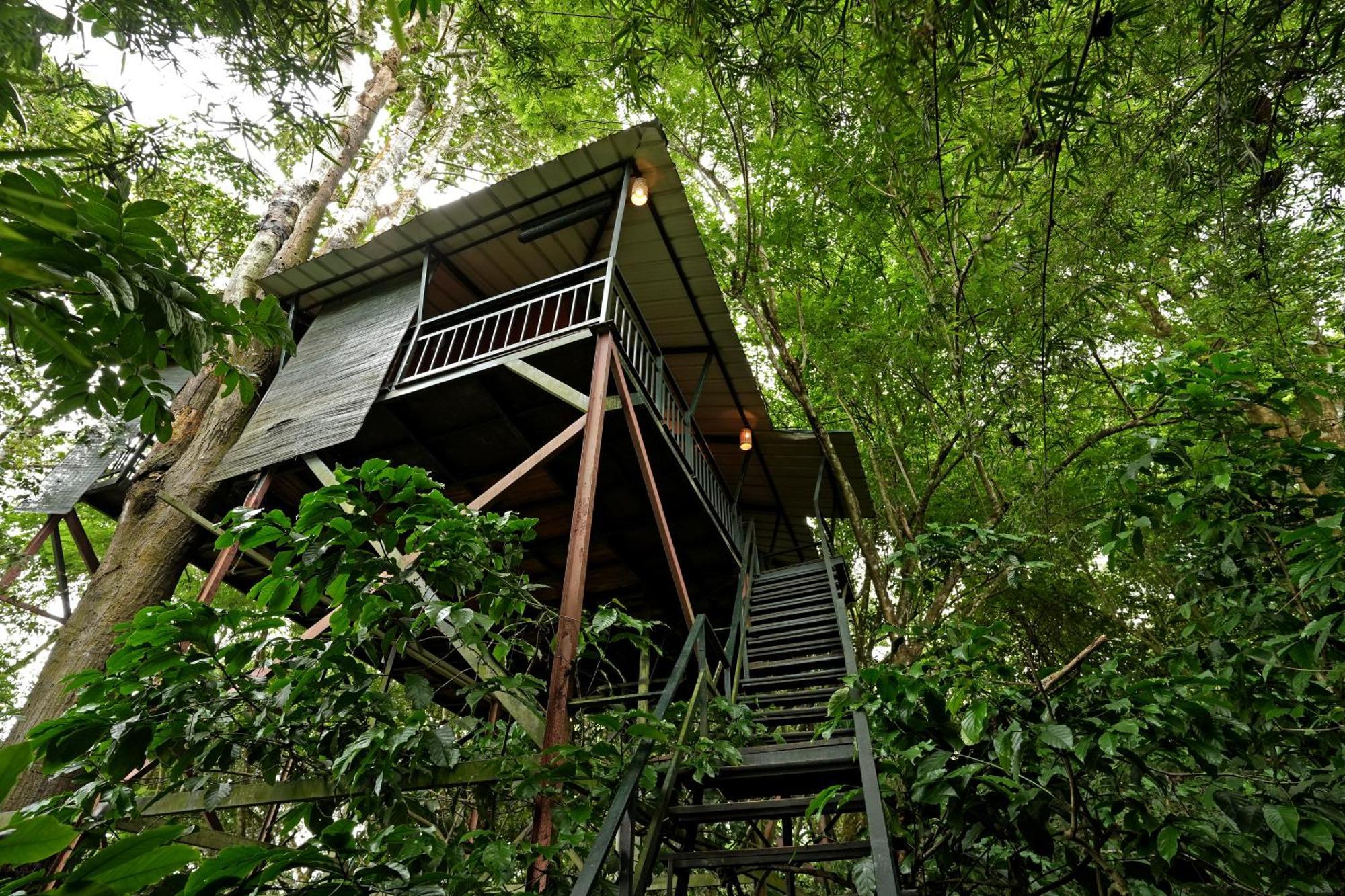 Coffee Acres Resort Калпата Екстериор снимка